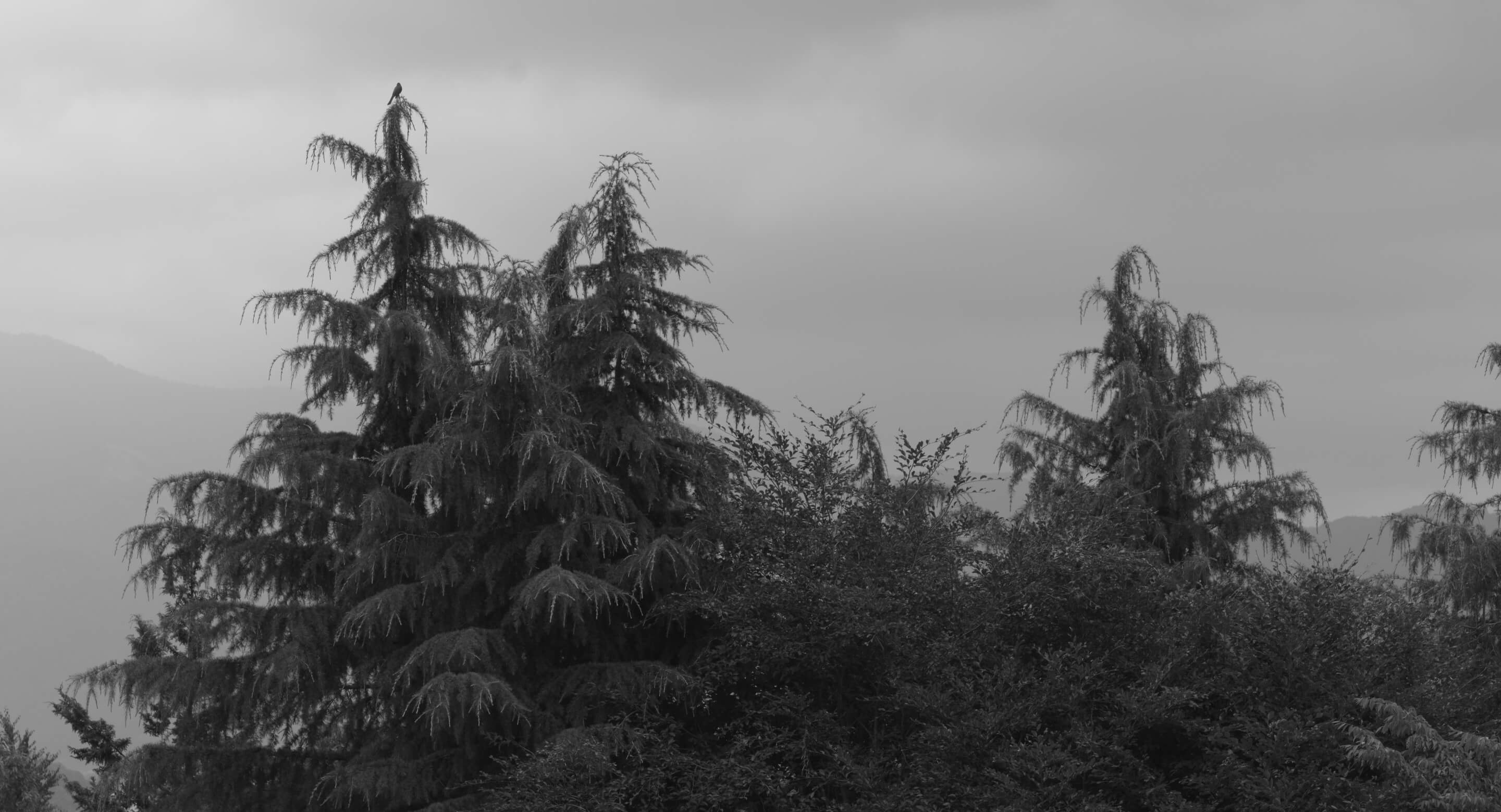 SHIPS FOR MEN 2024 FALL AND WINTER ｜ To a new wander